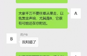 对话体悬疑烧脑文学之逃脱记录2·迷烟森林